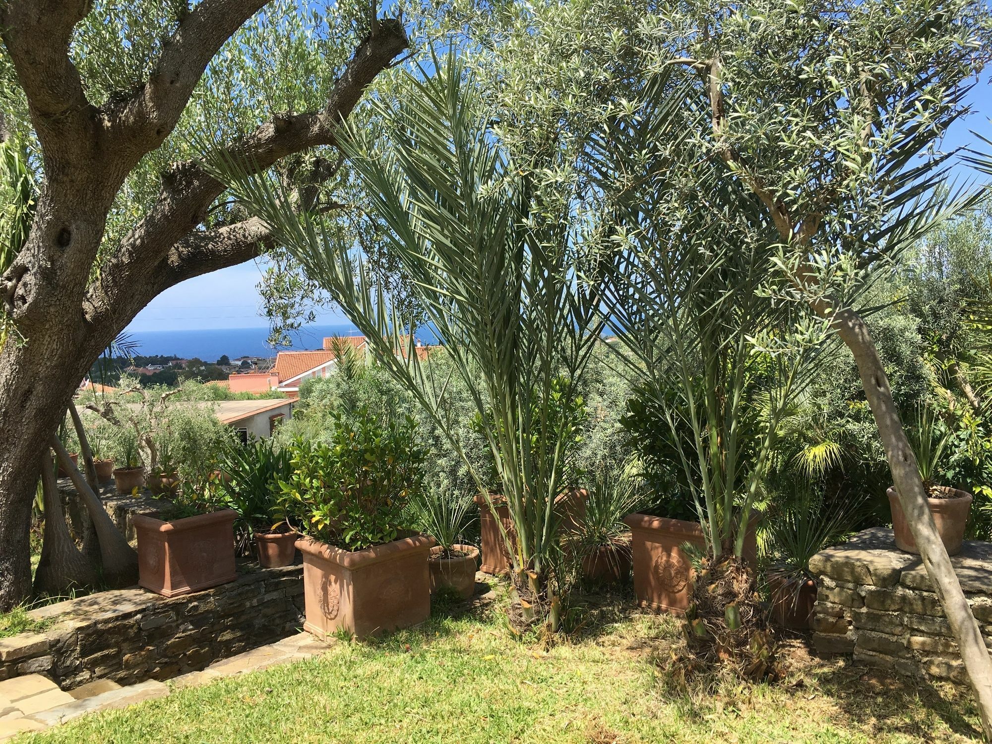 Residence Serrone Santa Maria di Castellabate Exterior photo